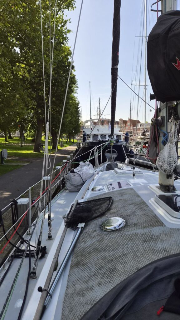 Hoorn