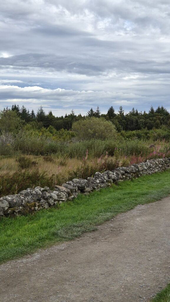 Highland