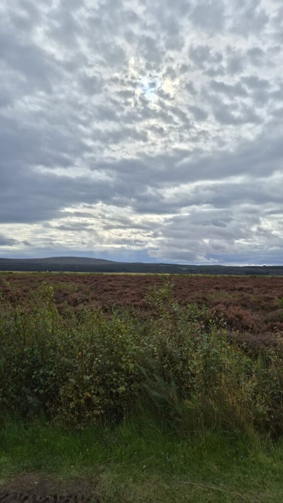 Highland