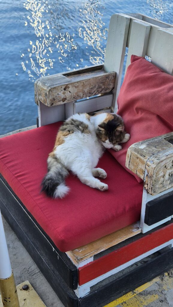 Abwettern in Sivota